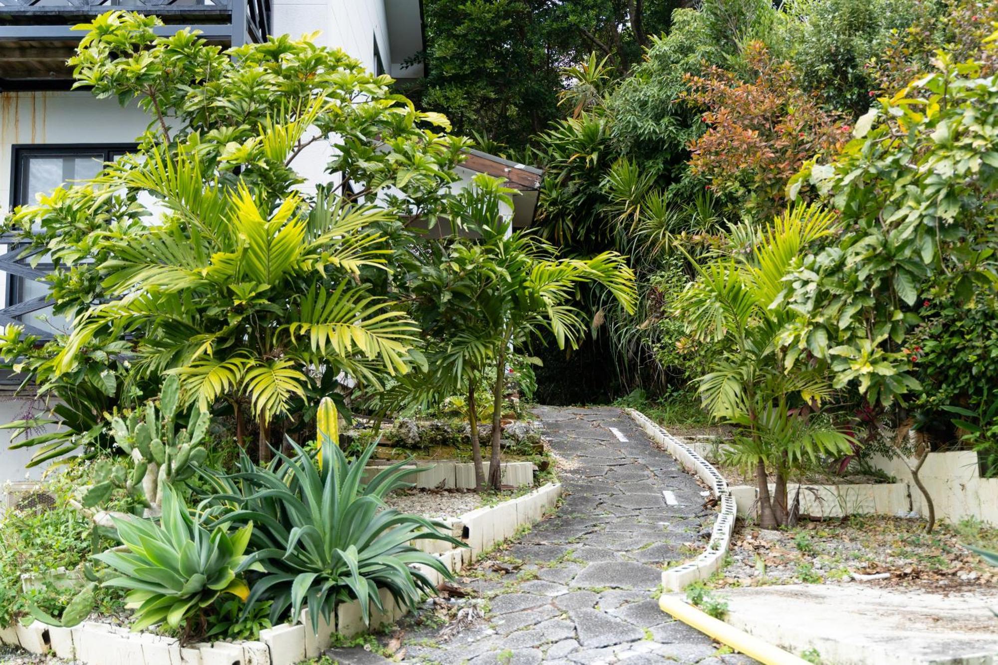 Mambo Hostel Okinawa Motobu Kültér fotó